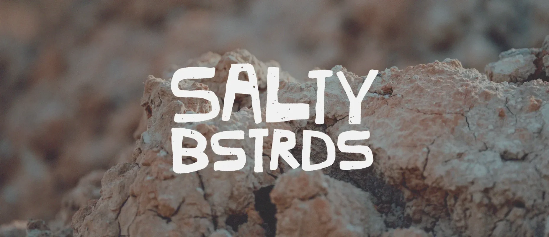 Salty Bstrds branding από το Drop Studio